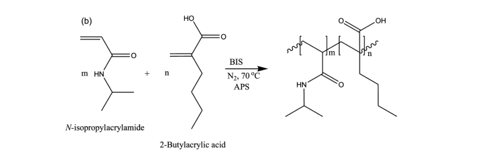 Copolymerization of pNIPAm